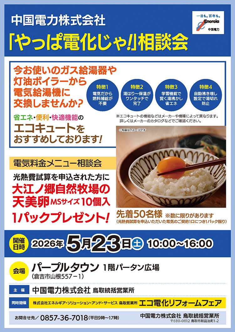 チラシの画像2